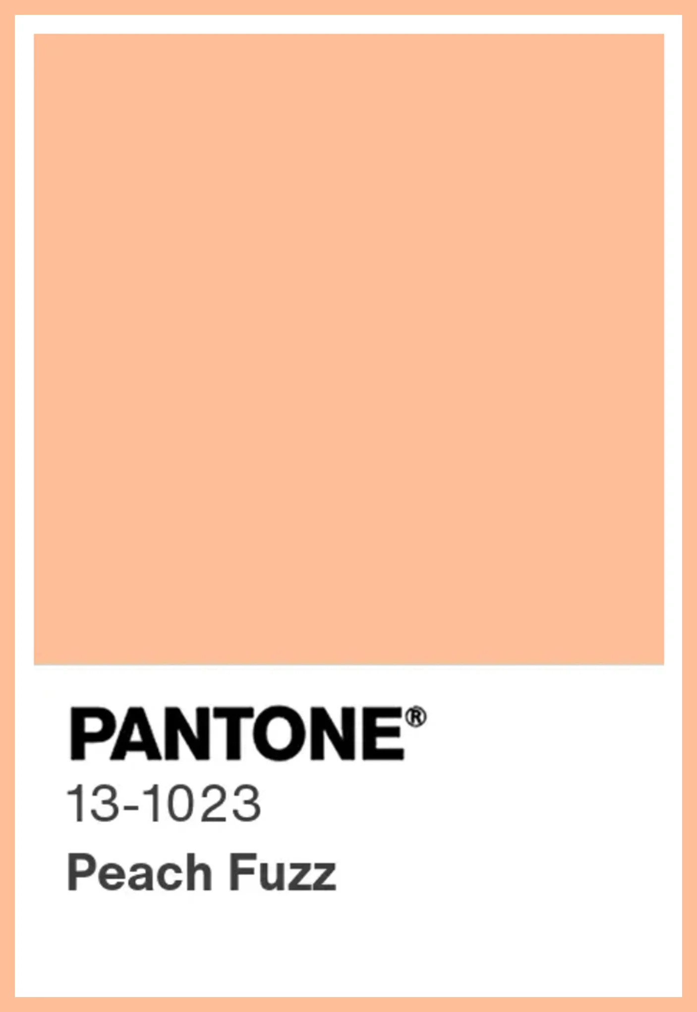 Цвет 2024 года по версии Pantone — Peach Fuzz или Персиковый пух