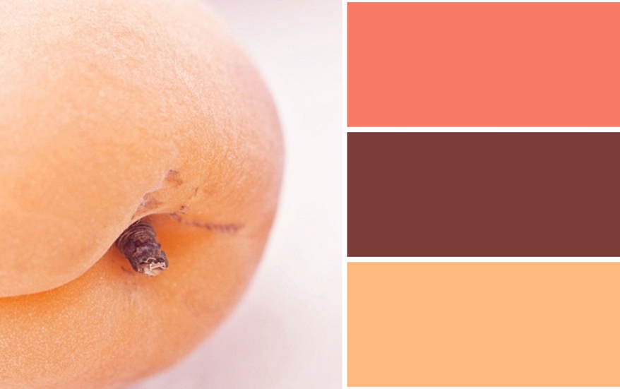 Цвет 2024 года по версии Pantone — Peach Fuzz или Персиковый пух